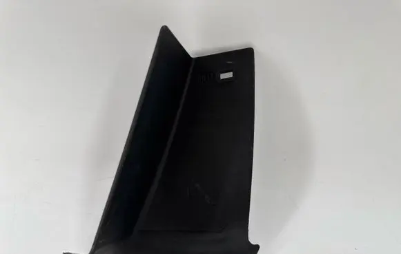 Rear/tail light trim molding