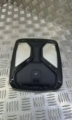 BMW 5 G30 G31 Front seat light 7945154 28599340 2171951208