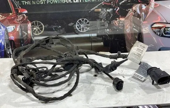 BMW 5 GT F07 Parking sensor (PDC) wiring loom 9208439