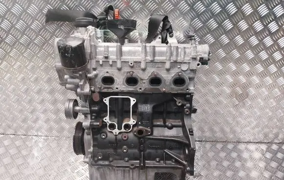 Volkswagen Golf VI Engine CAV