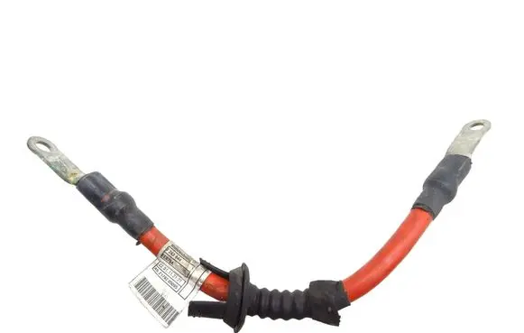 BMW X3 F25 Front door wiring loom 9243644