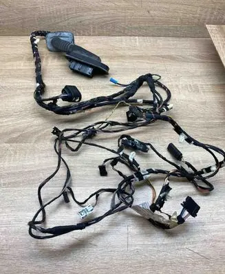 BMW X3 F25 Front door wiring loom 9252388 FrontRightDoor WithKeyless