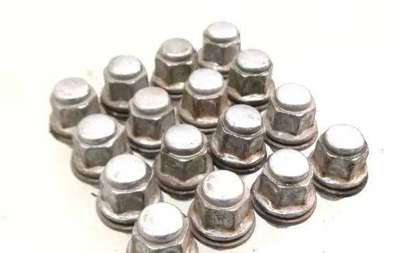 Nuts/bolts