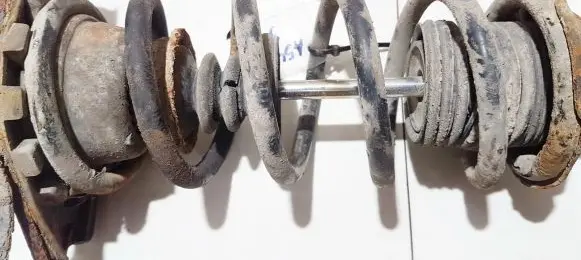Rear coil spring