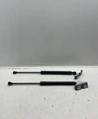 Renault Zoe Tailgate/trunk strut/damper 904502915R 7000210531C0
