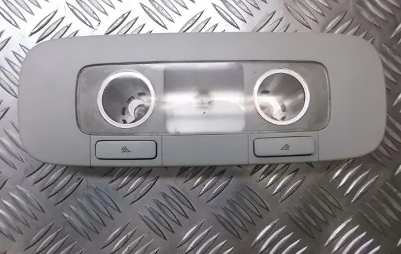 Volkswagen PASSAT B6 Headlining lighting console trim 