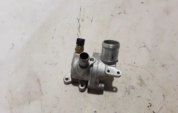 Thermostat/thermostat housing