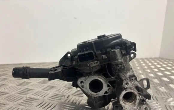 Peugeot Expert EGR valve 9807369980