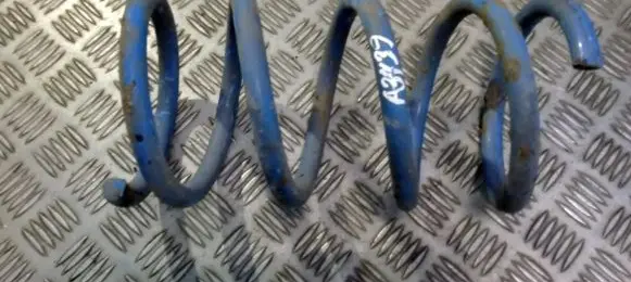 Rear coil spring