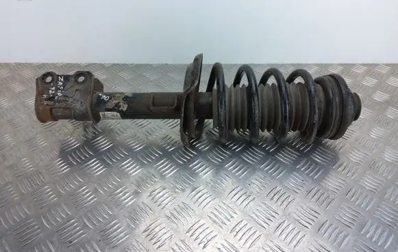 Opel Zafira B Front shock absorber with coil spring 13199456