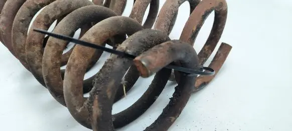 Chevrolet Corvette Front coil spring 