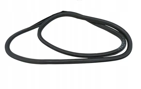 Citroen C4 Cactus Rubber seal front door (on door) 