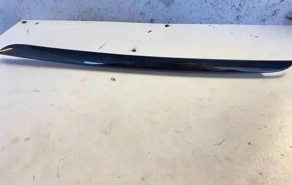 Renault Scenic III - Grand scenic III Dashboard glove box trim 684120014R