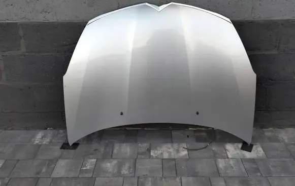 Engine bonnet/hood