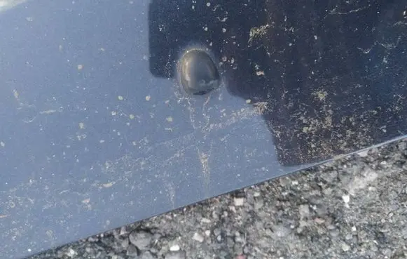 Citroen C5 Windshield washer spray nozzle 