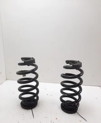 Rear coil spring