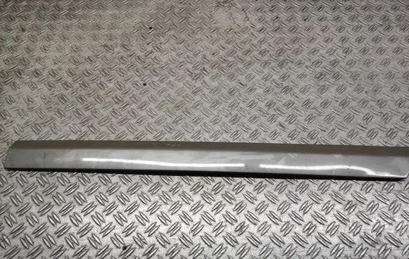 Mercedes-Benz B W245 Rear door trim (molding) A1696981162