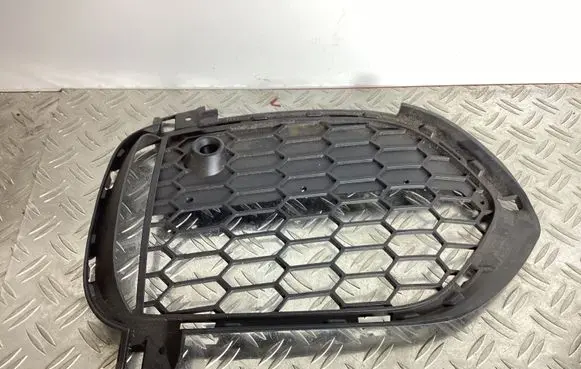 Front fog light trim/grill