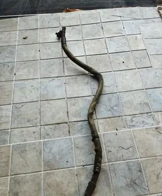 Volkswagen Transporter - Caravelle T5 Positive cable (battery)