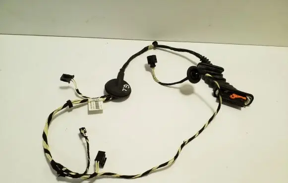 Rear door wiring loom