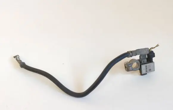 Ford Grand Tourneo Connect Negative earth cable (battery) F1FT10C679BA