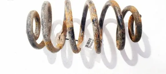 Rear coil spring