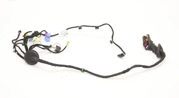 Other wiring loom