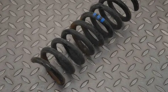Rear coil spring