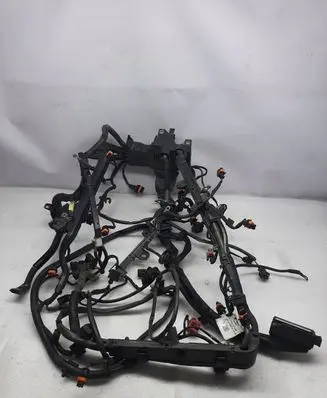 Other wiring loom