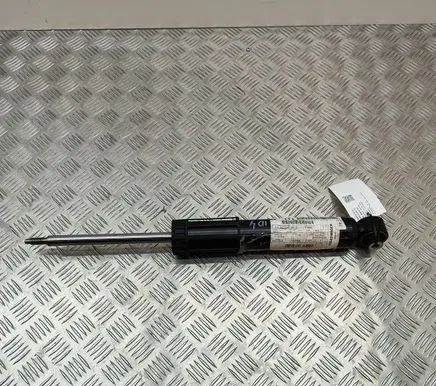 Volkswagen ID.4 Rear shock absorber/damper 1EA513049AN