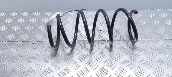 Front coil spring