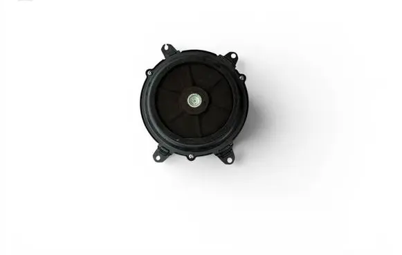 Lexus RX 450H Subwoofer speaker 8946007801A 10213J0801