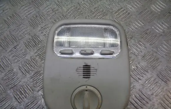 Peugeot 407 Headlining lighting console trim 