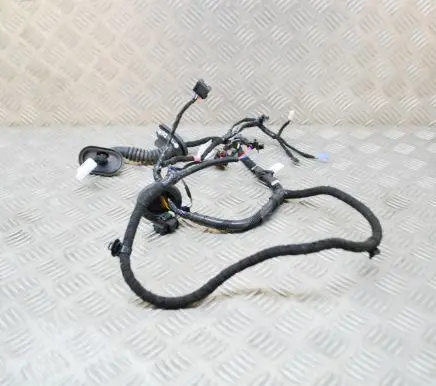 Tesla Model 3 Other wiring loom 206796600B