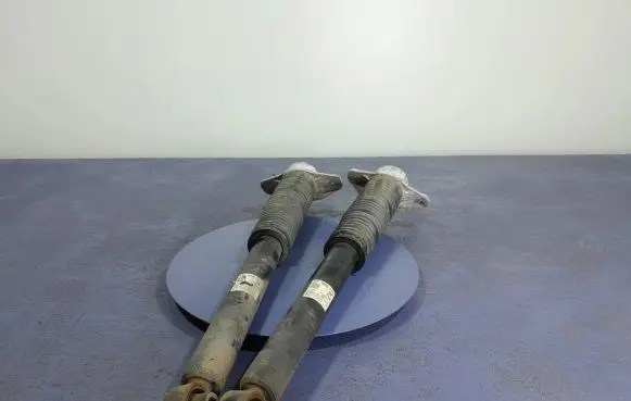 Hyundai Tucson TL Rear shock absorber/damper 55300-D7510
