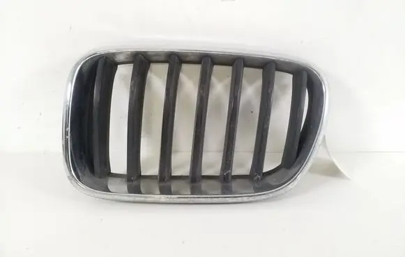 BMW X3 F25 Front grill 7210725