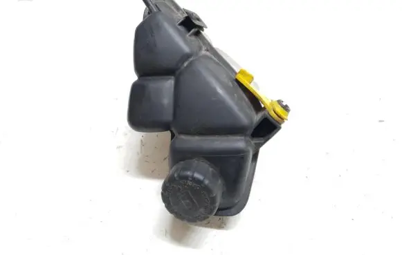 Mercedes-Benz Vaneo W414 Coolant expansion tank/reservoir 1685000249