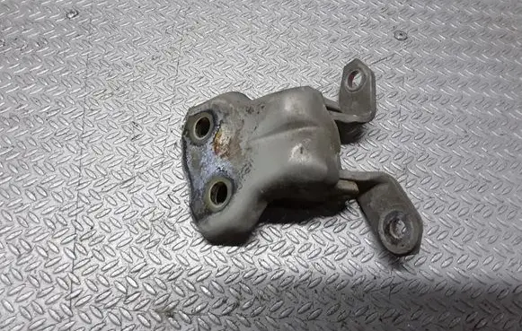 Suzuki Liana Front door lower hinge 