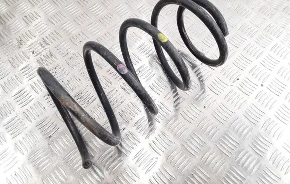 Front coil spring