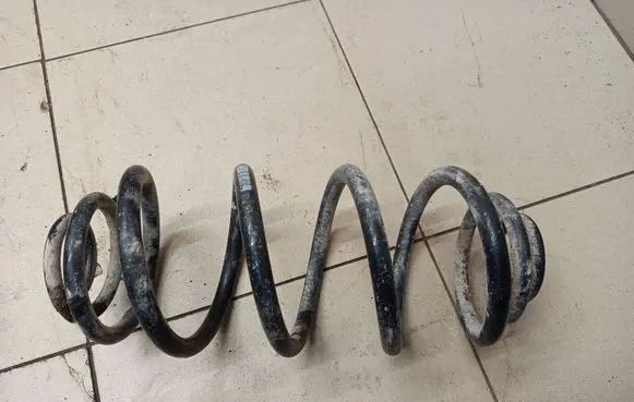 Opel Signum Rear coil spring 