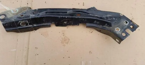 Engine bonnet/hood lock trim molding