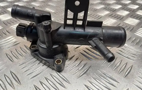 Thermostat/thermostat housing