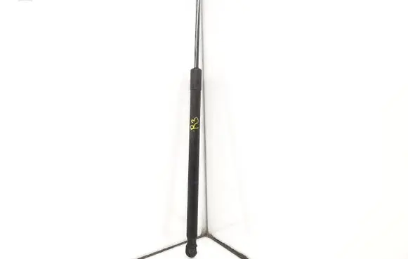 Tailgate strut