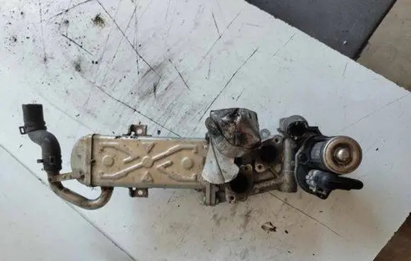 EGR valve cooler