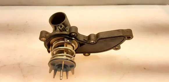Thermostat/thermostat housing