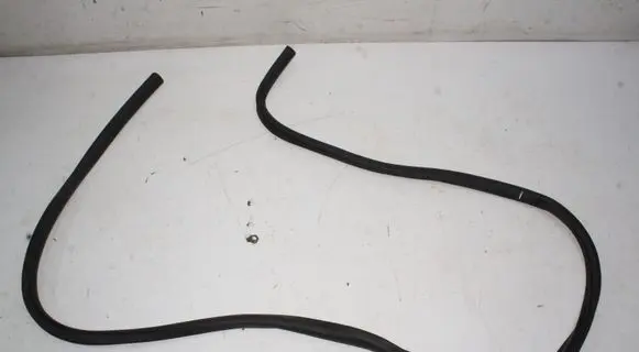 Ford Mustang Mach-E Rubber seal rear door LJ8BR253A10AD