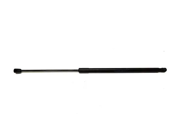 Tailgate strut