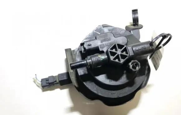 Peugeot 308 Fuel filter 9645928180