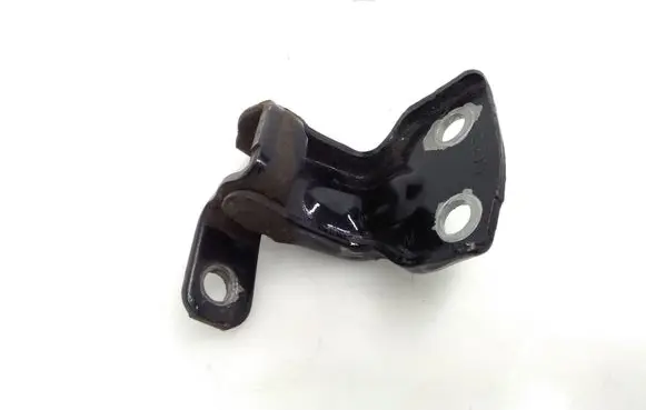 Ford Ranger Rear door lower hinge