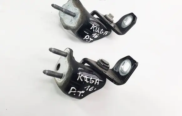 Ford Kuga II Rear door hinge set 